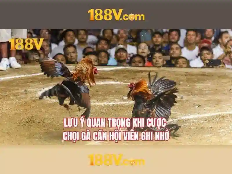 Tương lai và tầm ảnh hưởng