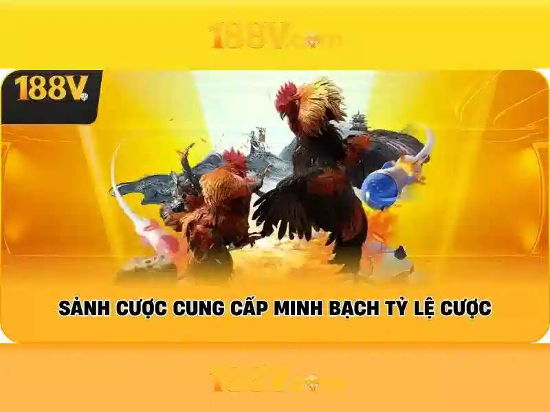 Bull Bull trực tuyến