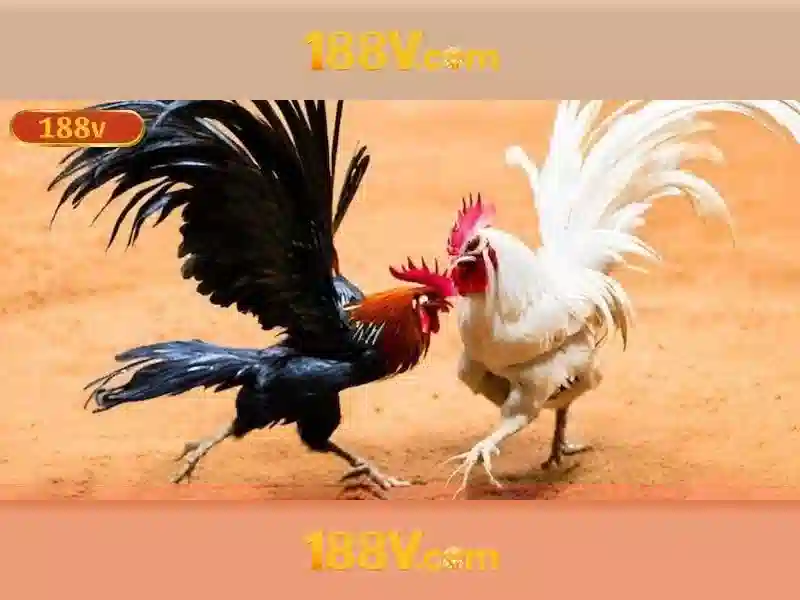 Nguồn gốc và ý nghĩa