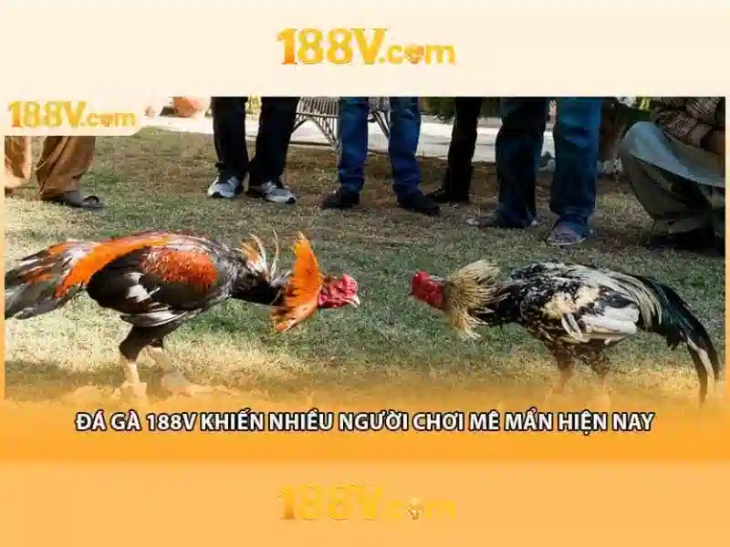 An toàn và lưu ý khi làm việc với 188v