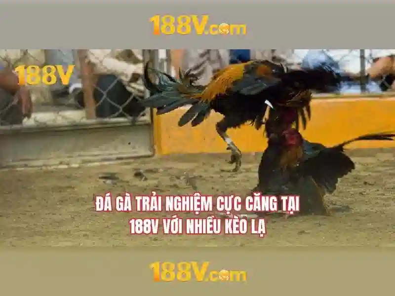 Khám phá 188v: nguồn gốc và ý nghĩa