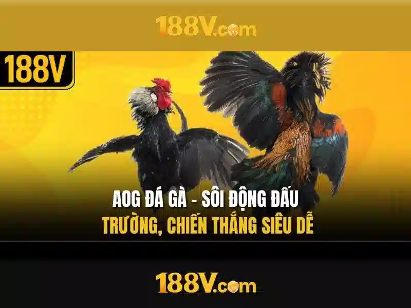 Tương lai và thách thức của 188v
