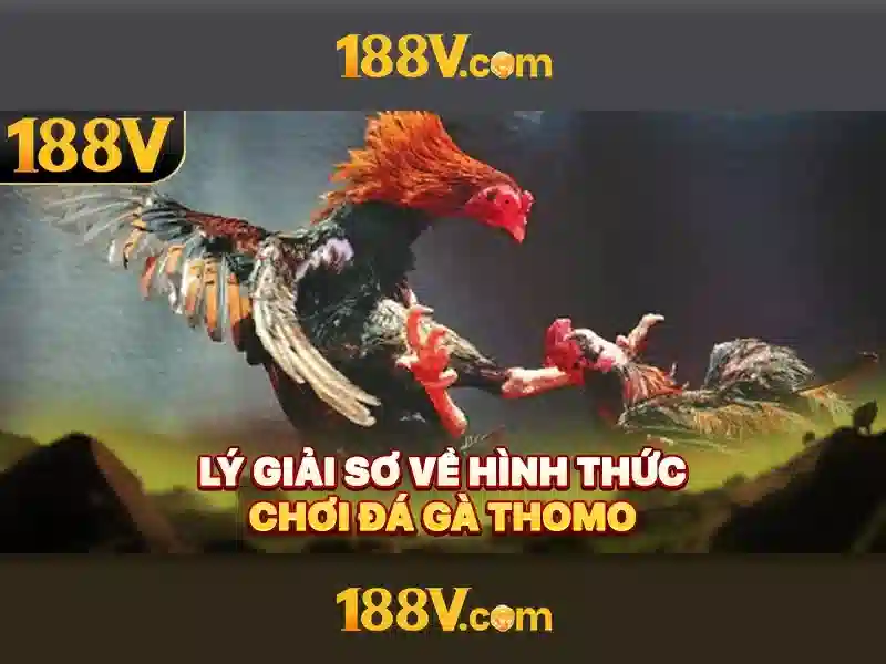 Nguồn gốc và ý nghĩa 