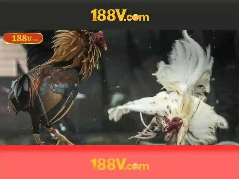 Nguồn gốc và ý nghĩa của 188v