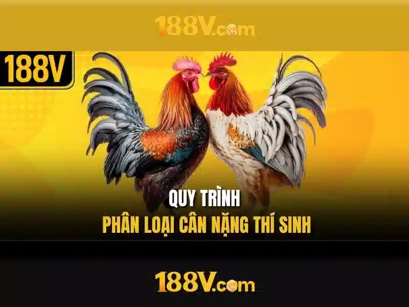 Bull Bull trực tuyến
