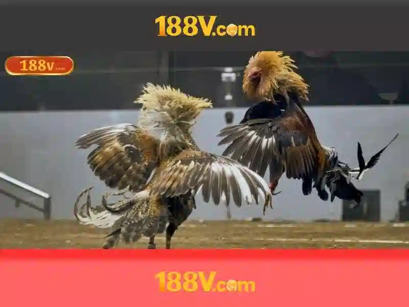 Cách 188v được đo lường và chuẩn hóa Cách 188v được đo lường và chuẩn hóa
