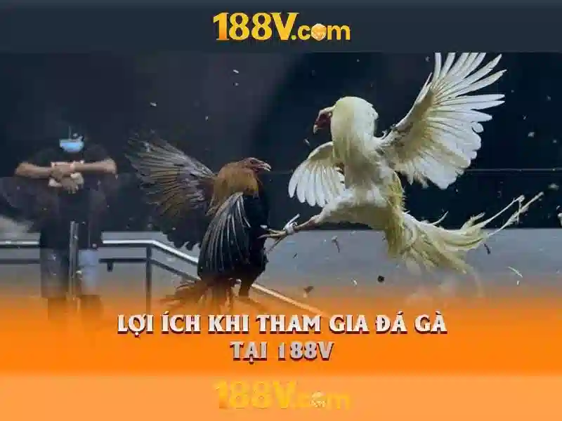 Nguồn gốc và ý tưởng