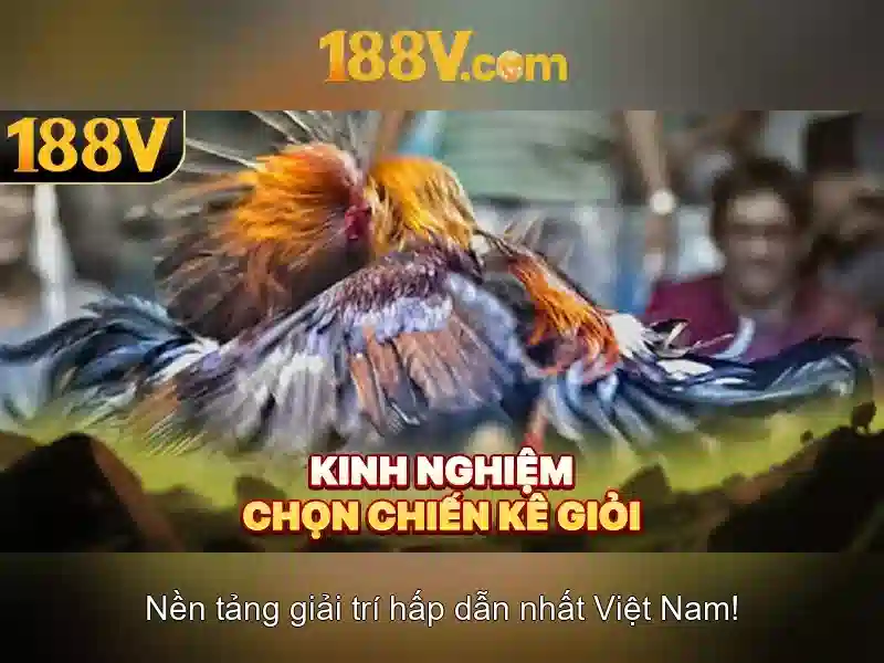 Tại sao 188v quan trọng