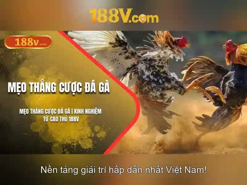 Ứng dụng và tiềm năng của 188v trong công nghệ