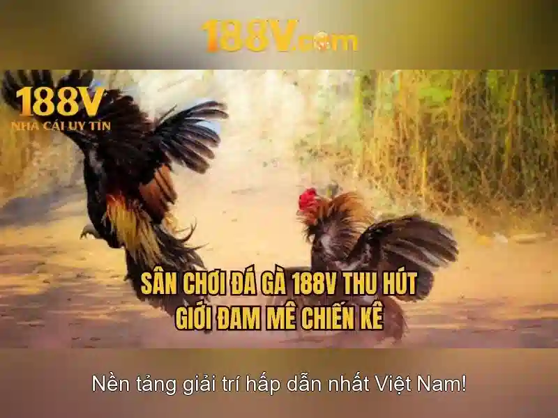 188v – Tổng quan chủ đề và giá trị cốt lõi