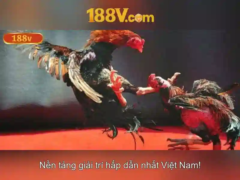 Các ứng dụng và tác động