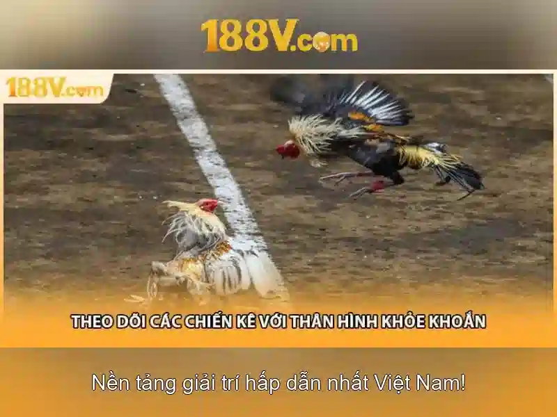 Bull Bull trực tuyến