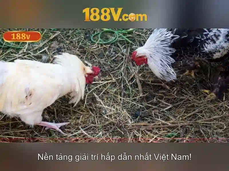 Ví dụ thực tế về 188v trong công nghiệp