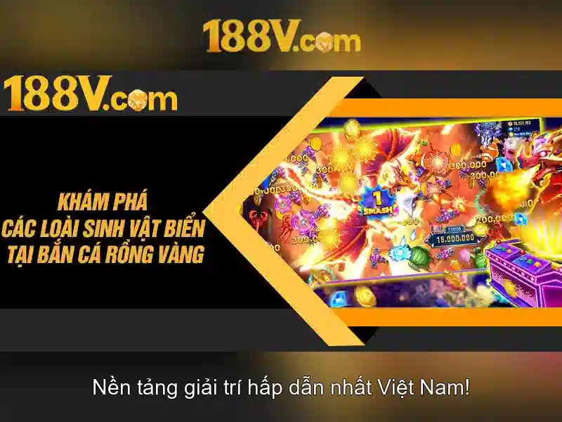 Kết nối và tương tác qua 188v
