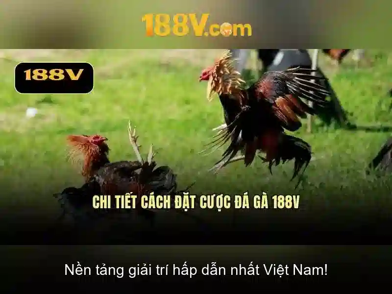 Bull Bull trực tuyến