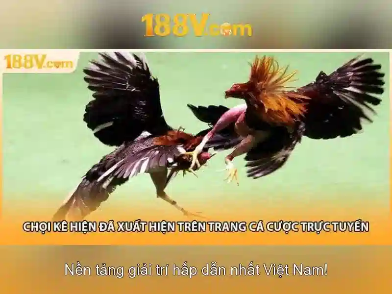 Nguồn gốc và định nghĩa