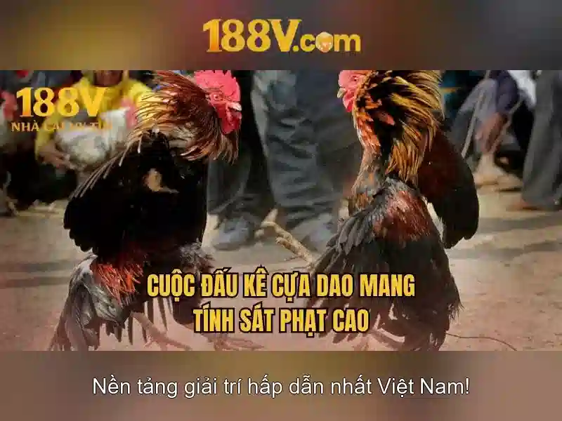 Việt Vị Trong Bóng Đá