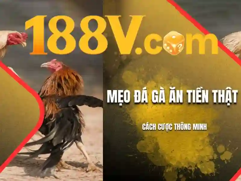Khái niệm và áp suất điện